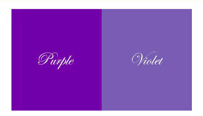 purple vs violet.jpg
